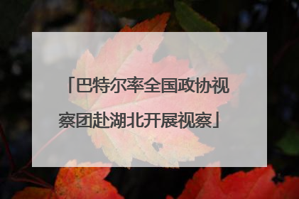 巴特尔率全国政协视察团赴湖北开展视察