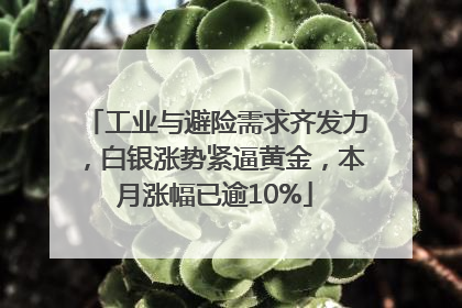 工业与避险需求齐发力，白银涨势紧逼黄金，本月涨幅已逾10%