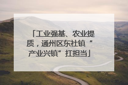 工业强基、农业提质，通州区东社镇“产业兴镇”扛担当