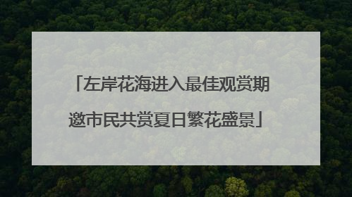 左岸花海进入最佳观赏期 邀市民共赏夏日繁花盛景