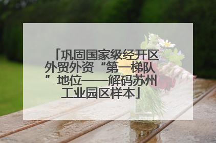 巩固国家级经开区外贸外资“第一梯队”地位——解码苏州工业园区样本