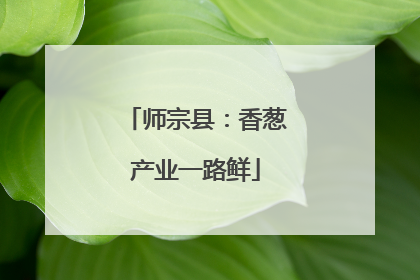 师宗县：香葱产业一路鲜