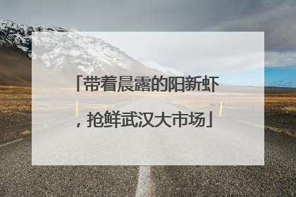 带着晨露的阳新虾，抢鲜武汉大市场