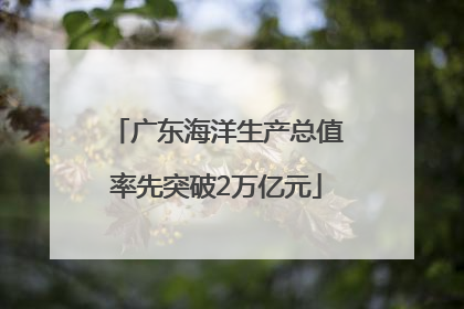 广东海洋生产总值率先突破2万亿元