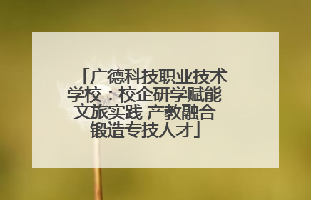 广德科技职业技术学校：校企研学赋能文旅实践 产教融合锻造专技人才