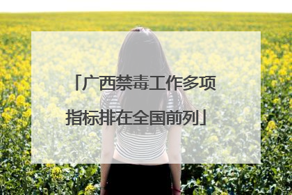 广西禁毒工作多项指标排在全国前列