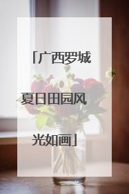 广西罗城夏日田园风光如画
