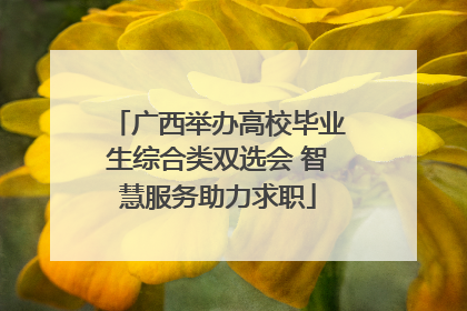 广西举办高校毕业生综合类双选会 智慧服务助力求职