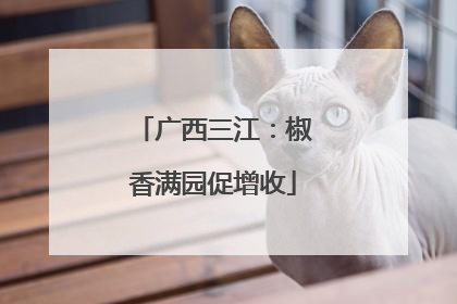 广西三江：椒香满园促增收