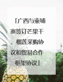 广西与柬埔寨签订芒果干、榴莲采购协议和贸易合作框架协议