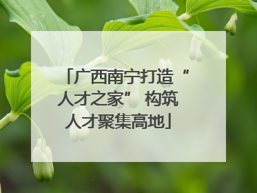 广西南宁打造“人才之家” 构筑人才聚集高地