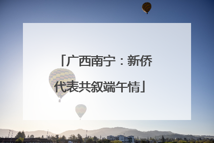 广西南宁：新侨代表共叙端午情