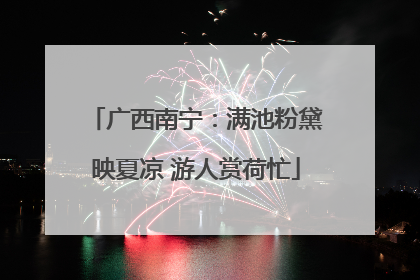 广西南宁：满池粉黛映夏凉 游人赏荷忙