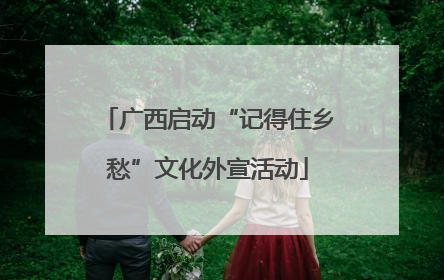 广西启动“记得住乡愁”文化外宣活动