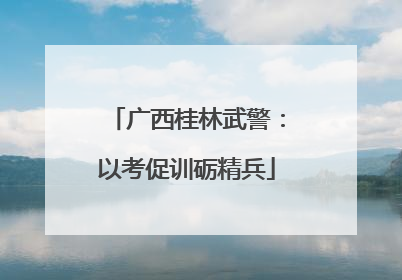 广西桂林武警：以考促训砺精兵