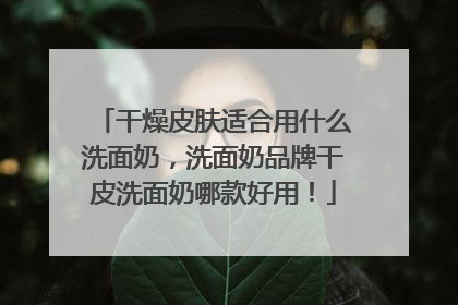 干燥皮肤适合用什么洗面奶，洗面奶品牌干皮洗面奶哪款好用！
