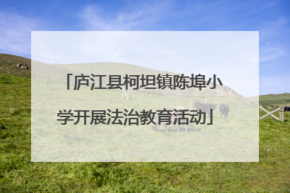 庐江县柯坦镇陈埠小学开展法治教育活动