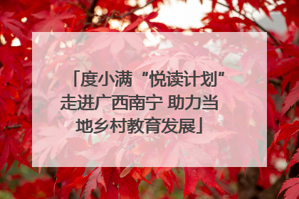 度小满“悦读计划”走进广西南宁 助力当地乡村教育发展