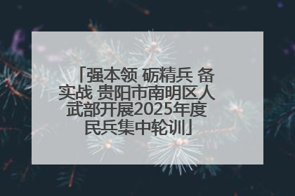 强本领 砺精兵 备实战 贵阳市南明区人武部开展2025年度民兵集中轮训