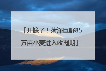 开镰了！菏泽巨野85万亩小麦进入收割期