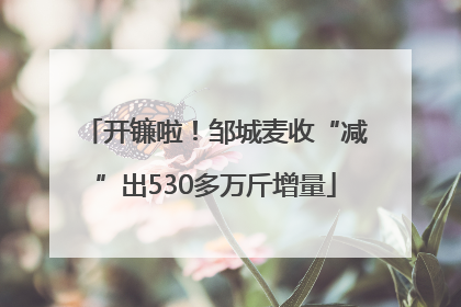 开镰啦！邹城麦收“减”出530多万斤增量