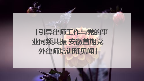 引导律师工作与党的事业同频共振 安徽首期党外律师培训班见闻