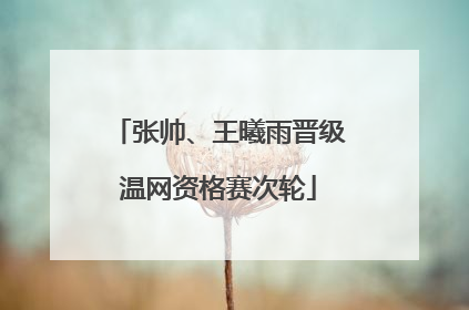 张帅、王曦雨晋级温网资格赛次轮