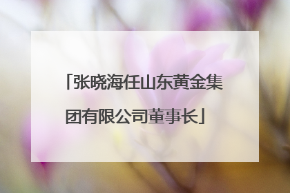张晓海任山东黄金集团有限公司董事长