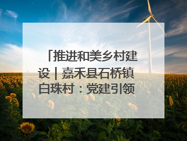 推进和美乡村建设｜嘉禾县石桥镇白珠村：党建引领破“空”局 乡贤聚力绘就新图景