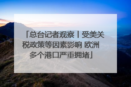 总台记者观察丨受美关税政策等因素影响 欧洲多个港口严重拥堵