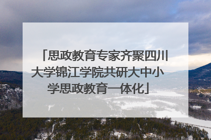 思政教育专家齐聚四川大学锦江学院共研大中小学思政教育一体化