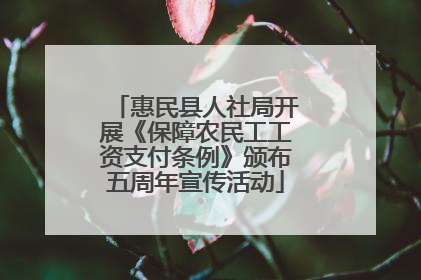 惠民县人社局开展《保障农民工工资支付条例》颁布五周年宣传活动