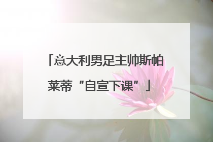 意大利男足主帅斯帕莱蒂“自宣下课”