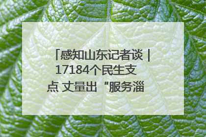 感知山东记者谈｜17184个民生支点 丈量出“服务淄博”的文明温度