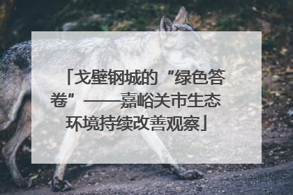 戈壁钢城的“绿色答卷”——嘉峪关市生态环境持续改善观察