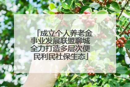 成立个人养老金事业发展联盟聊城全力打造多层次便民利民社保生态