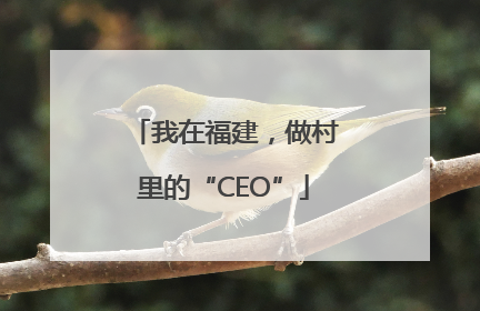 我在福建，做村里的“CEO”