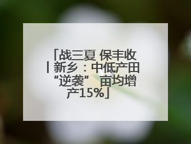 战三夏 保丰收丨新乡：中低产田“逆袭” 亩均增产15%
