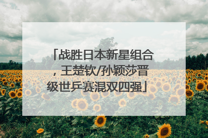 战胜日本新星组合，王楚钦/孙颖莎晋级世乒赛混双四强