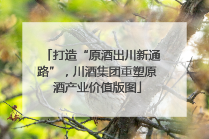 打造“原酒出川新通路”，川酒集团重塑原酒产业价值版图