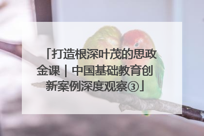 打造根深叶茂的思政金课｜中国基础教育创新案例深度观察③