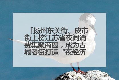 扬州东关街、皮市街上榜江苏省夜间消费集聚商圈，成为古城老街打造“夜经济”的样本