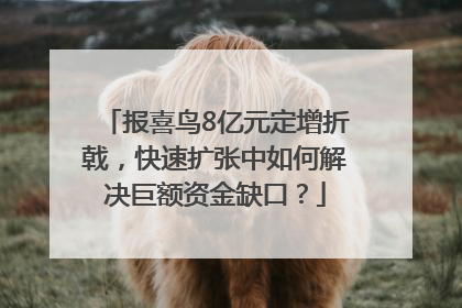 报喜鸟8亿元定增折戟，快速扩张中如何解决巨额资金缺口？