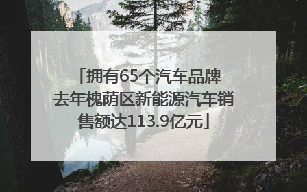 拥有65个汽车品牌 去年槐荫区新能源汽车销售额达113.9亿元