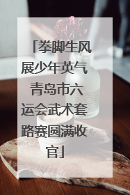 拳脚生风展少年英气 青岛市六运会武术套路赛圆满收官