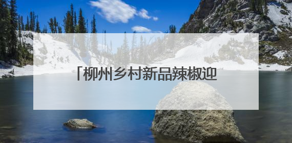 柳州乡村新品辣椒迎采收季 特色农业为乡村振兴注入活力