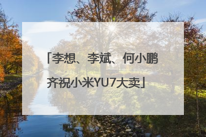 李想、李斌、何小鹏齐祝小米YU7大卖