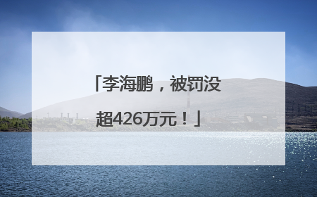 李海鹏，被罚没超426万元！