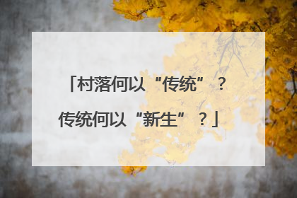 村落何以“传统”？传统何以“新生”？