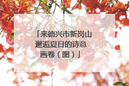 来德兴市新岗山 邂逅夏日的诗意画卷（图）